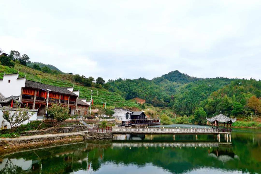 NG体育：数字科技 茶界黑马横空出世——婺源“黎乾升”老茶号的当代复兴(图2)